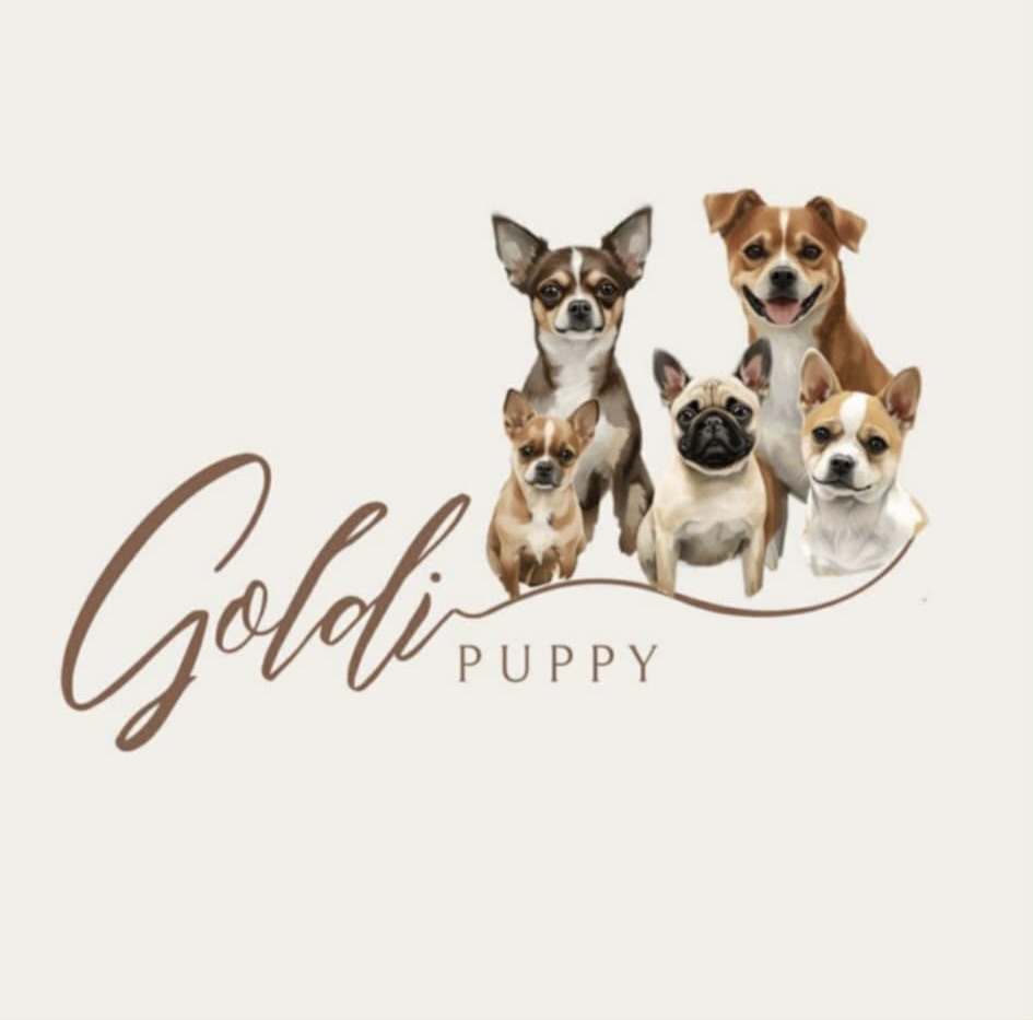 GoldiPuppy Logo